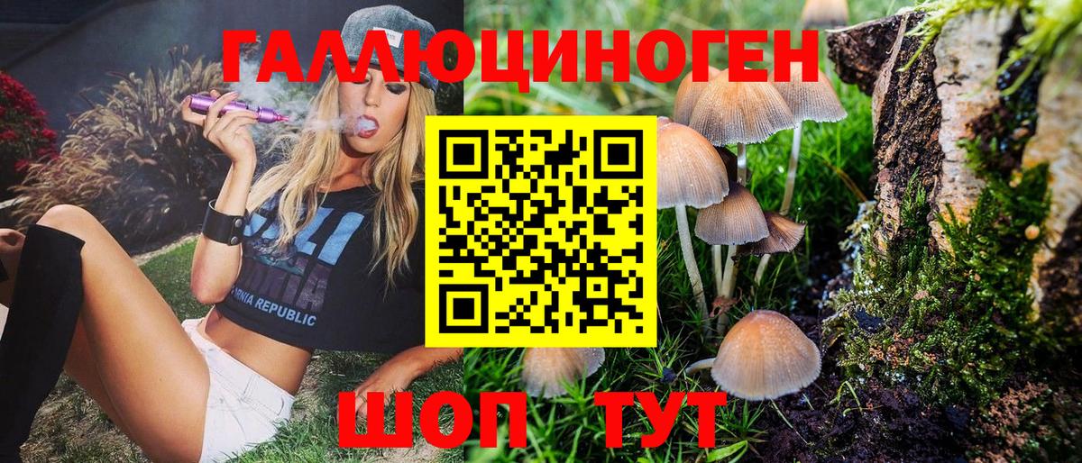 Корсаков  Псилоцибиновые грибы MAGIC MUSHROOMS  Вход с VPN  Галлюциногенные грибы мицелий 